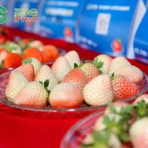 国产草莓在线,甜蜜滋味，绿色健康新选择